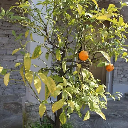 Apartment Casa Pg Stresa