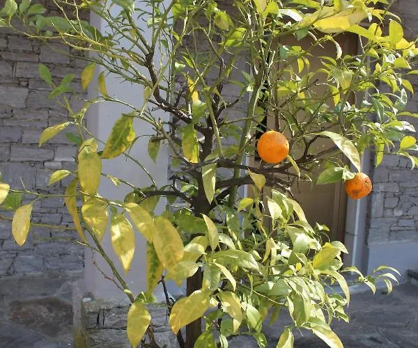 Apartman Casa Pg Stresa